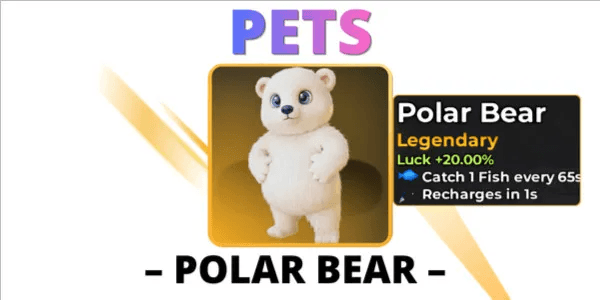 Polar Bear - Pets