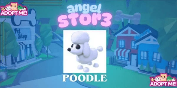 Poodle