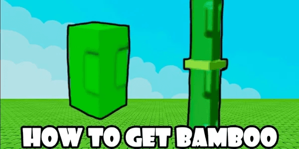 Bamboo