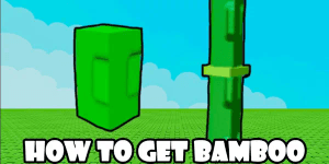 Bamboo