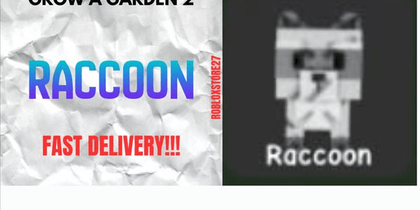 Gambar Product Raccoon