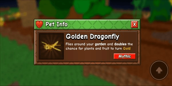 Gambar Product Golden Dragonfly