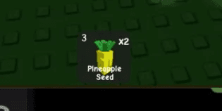 Pineapple