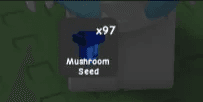Mushroom Seed