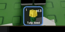 Tulip