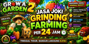 BOOSTING SERVICE GRINDING & FARMING PER 24 HOURS