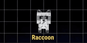 Raccoon