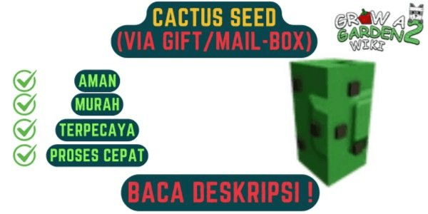 Gambar Product Cactus