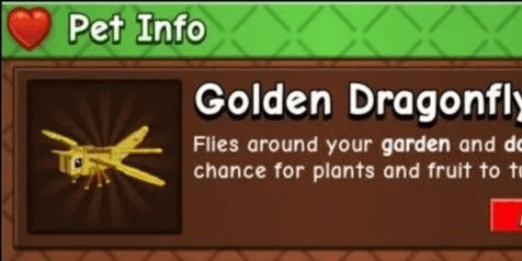 Gambar Product golden dragonfly