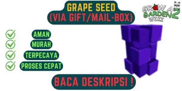 Grape