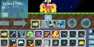 DR TITLE SSUP ACCOUNT + GPICK + MAX ANCES