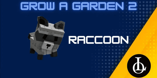 Raccoon