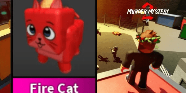 Fire Cat