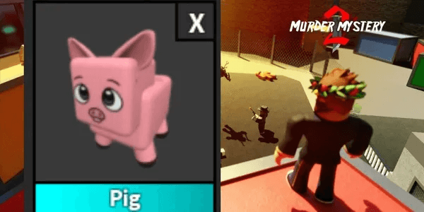 Pig