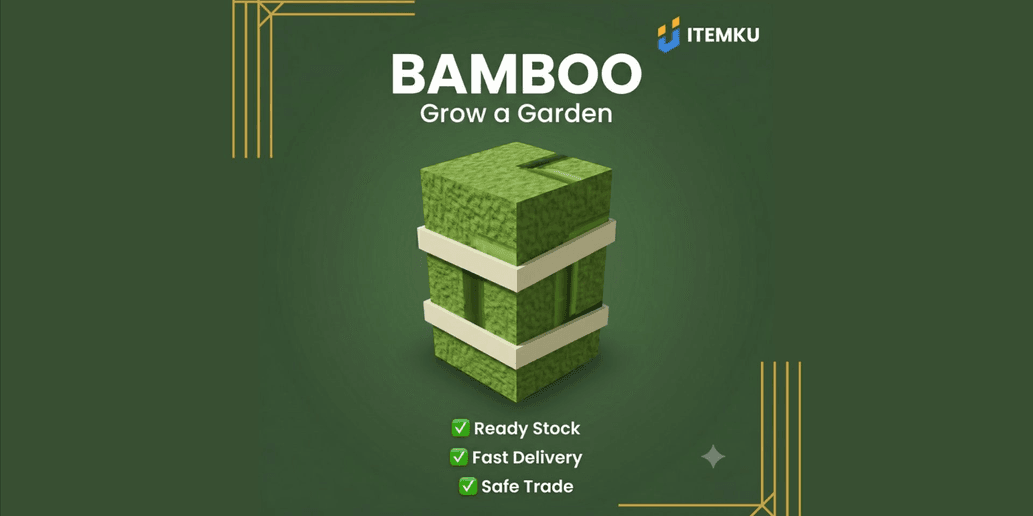 Product Showcase