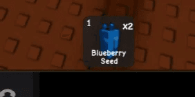 Blueberry