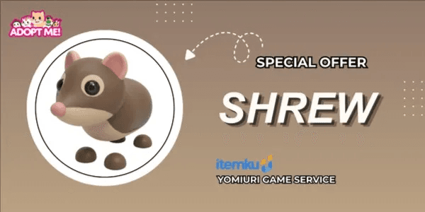 Shrew