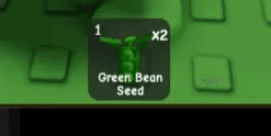 Green Bean