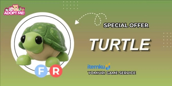 Gambar Product Turtle FR