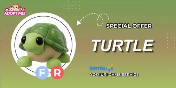 Turtle FR