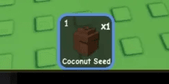 Coconut