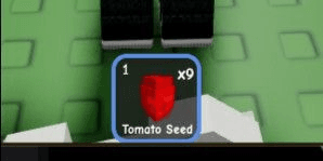 Gambar Product Tomato