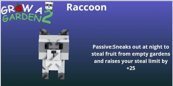Gambar Product Raccoon