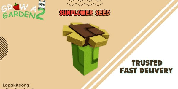 Gambar Product Sunflower