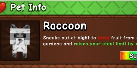 Gambar Product Raccoon