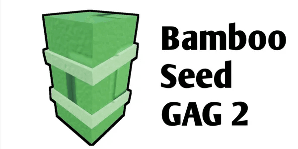 Bamboo
