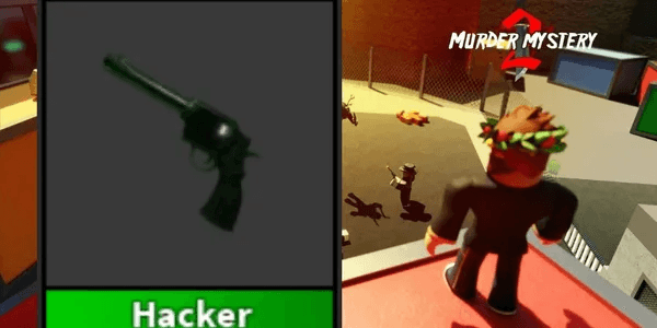 Hacker