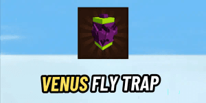 Venus Fly Trap