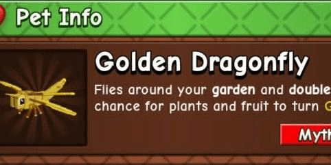Gambar Product Golden Dragonfly