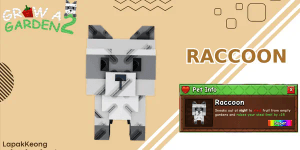 Raccoon