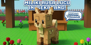 Deer