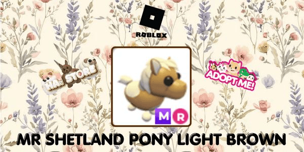 Gambar Product Shetland Pony Light Brown MR