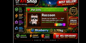 Raccoon
