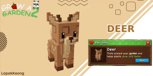 Deer