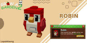 Robin