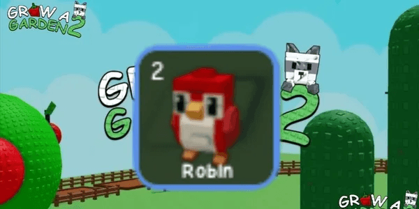 Robin