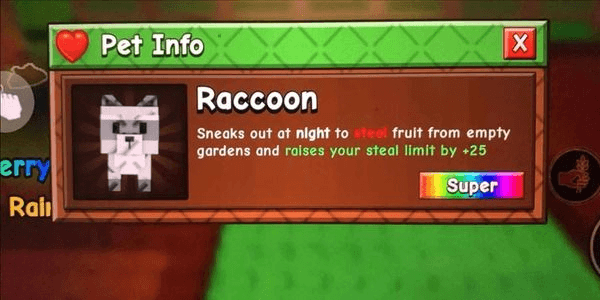 Gambar Product Raccoon
