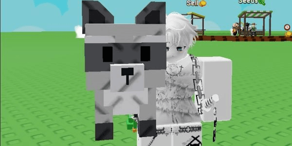 Gambar Product Raccoon