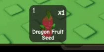 Dragon Fruit