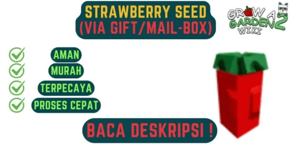 Strawberry