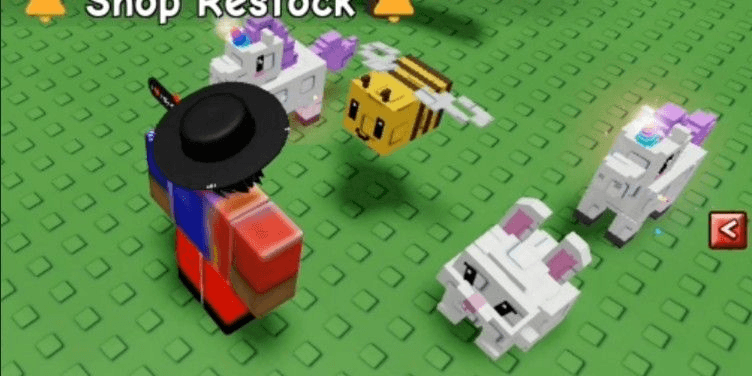 Product Showcase