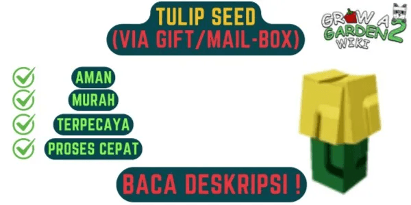 Tulip