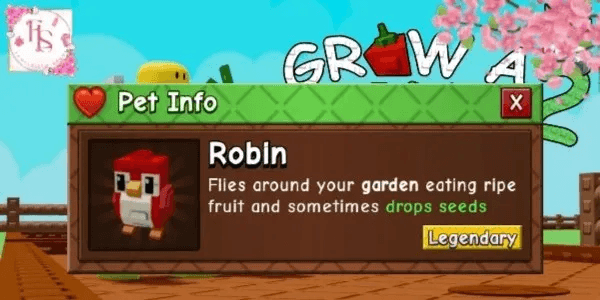 Robin