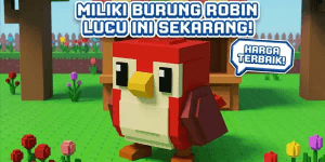 Robin