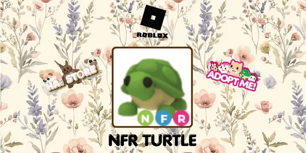 Turtle NFR