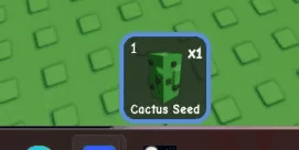 Cactus